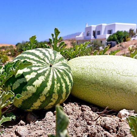 شقة Relaxia Estate Naxos Galini  المظهر الخارجي الصورة