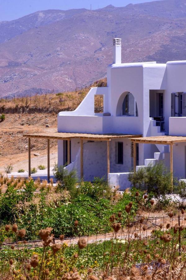 شقة Relaxia Estate Naxos Galini  المظهر الخارجي الصورة
